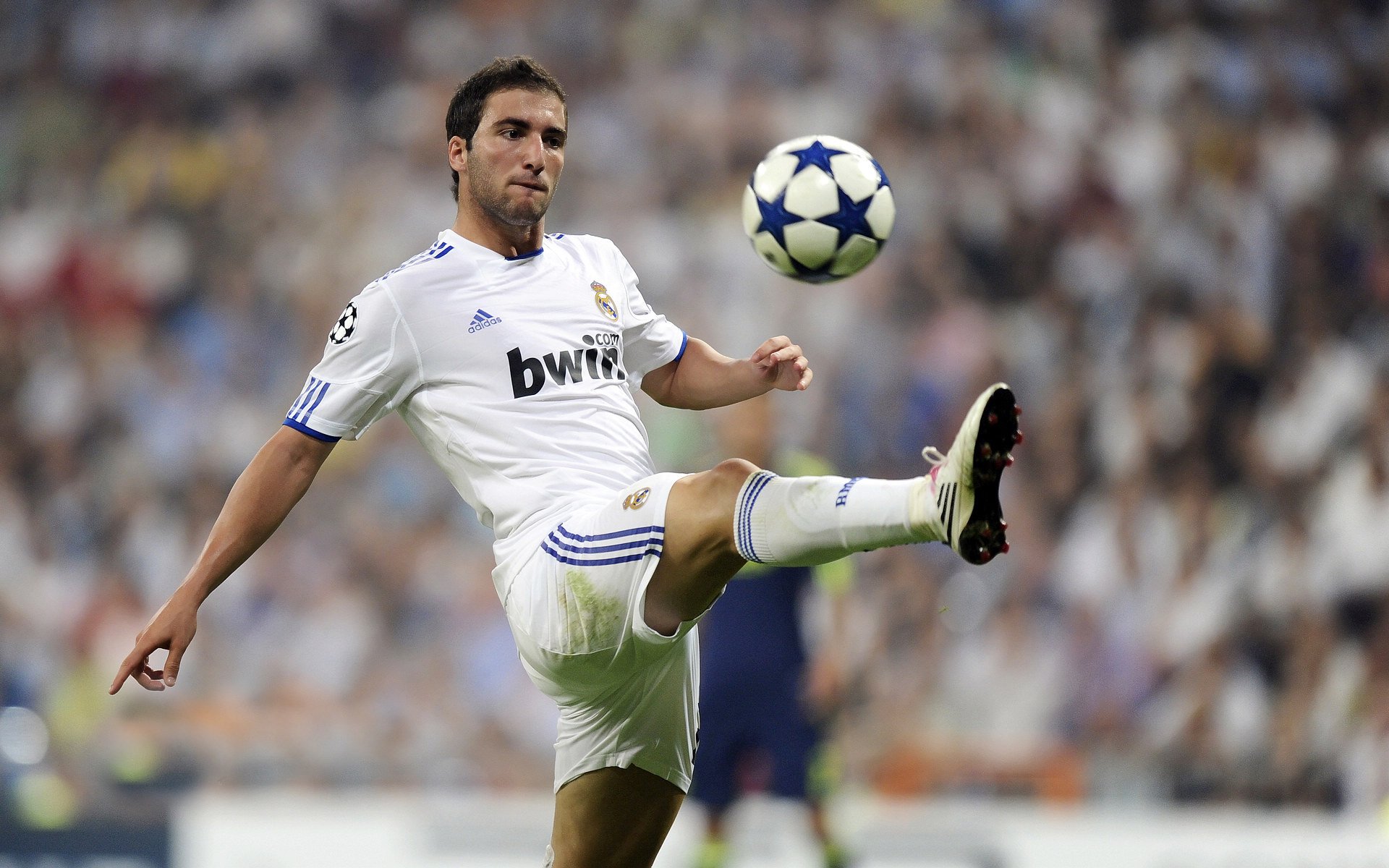 李刚仁的希腊火，当东方智慧点燃克罗地亚的叹息